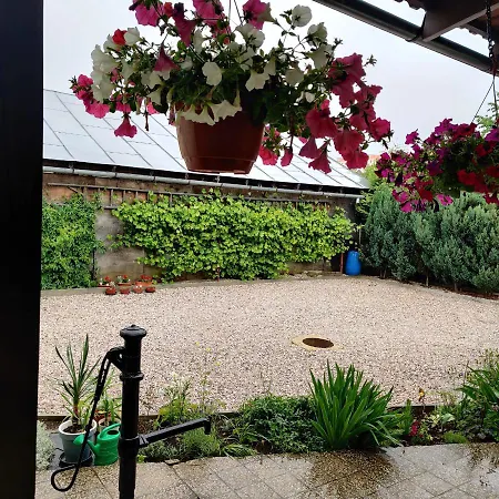 Nest * Spisska Nova Ves