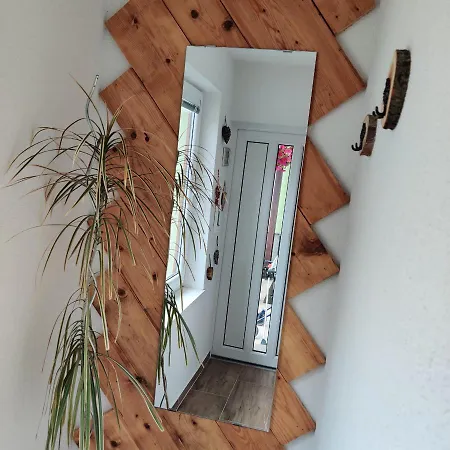 Nest